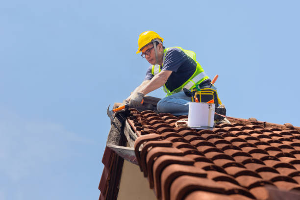 Best Tile Roofing Installation  in Parks, AZ